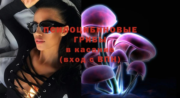 бошки Арсеньев