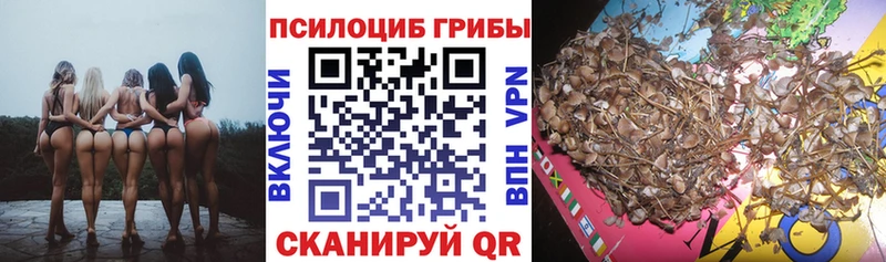 mega ТОР  Руза  Галлюциногенные грибы MAGIC MUSHROOMS 
